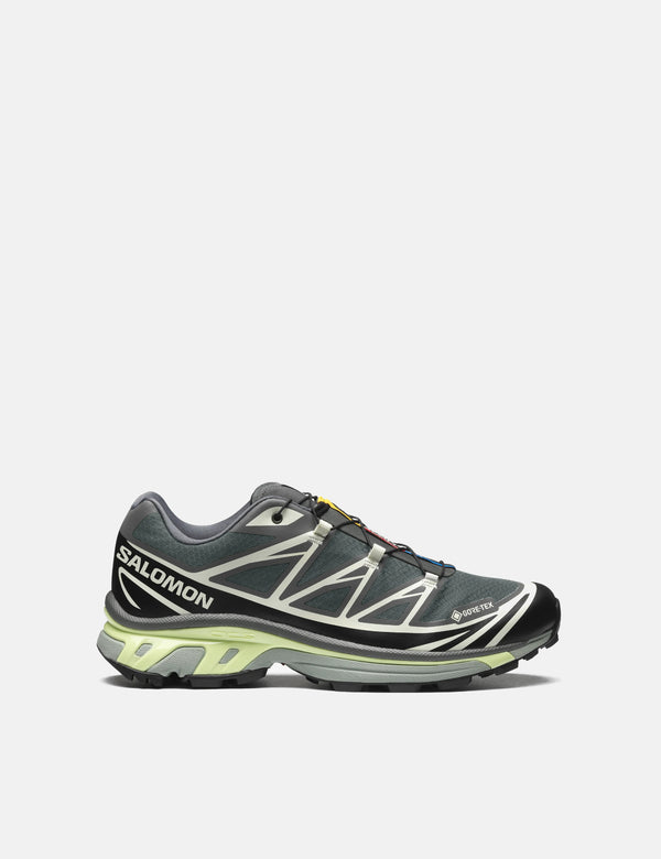 Salomon XT-6 GTX Trainers - Urban Chic/Black/Lime Cream